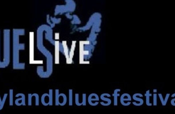 3. Dreylandbluesfestival